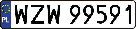 WZW99591