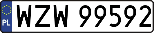 WZW99592