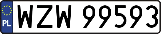 WZW99593