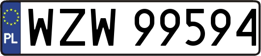 WZW99594
