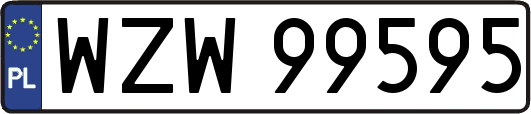 WZW99595