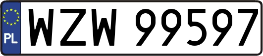 WZW99597