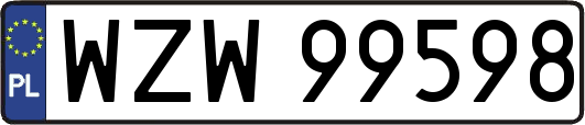 WZW99598