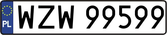 WZW99599