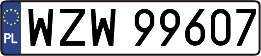 WZW99607