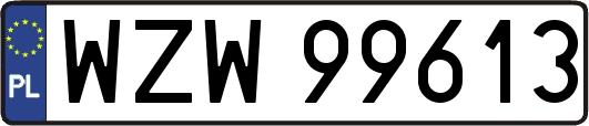 WZW99613
