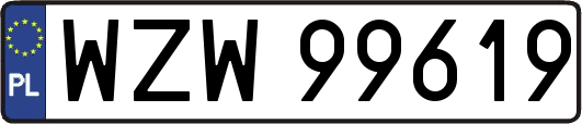 WZW99619