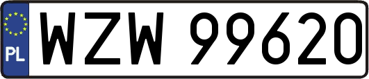 WZW99620