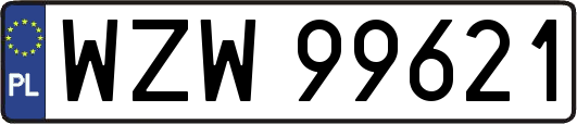 WZW99621