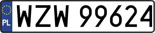 WZW99624