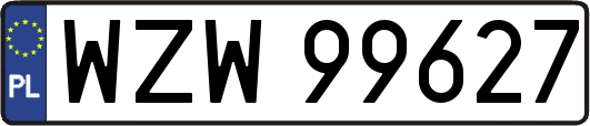 WZW99627