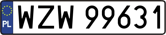 WZW99631