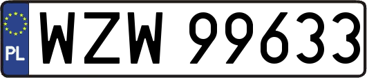 WZW99633