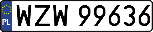 WZW99636