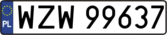 WZW99637