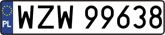 WZW99638