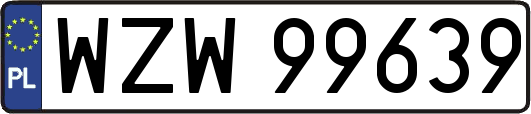 WZW99639