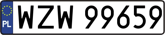 WZW99659