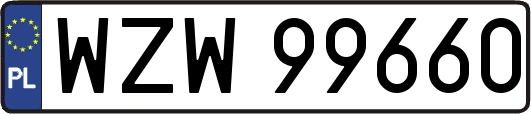 WZW99660