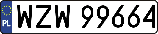 WZW99664