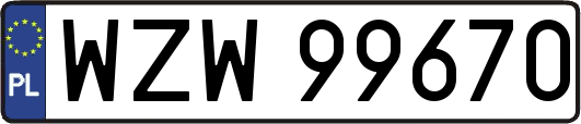 WZW99670
