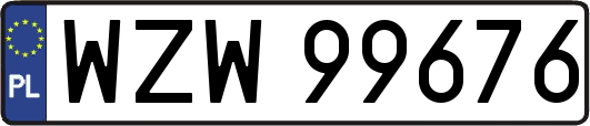 WZW99676