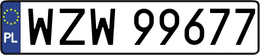 WZW99677