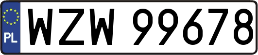 WZW99678