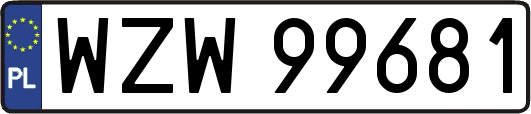 WZW99681
