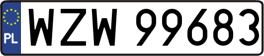 WZW99683