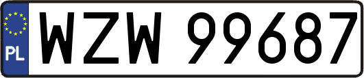 WZW99687