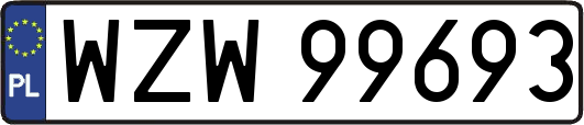 WZW99693