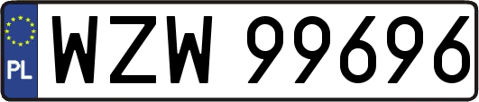 WZW99696