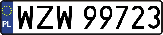 WZW99723