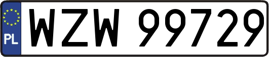 WZW99729