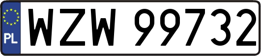 WZW99732