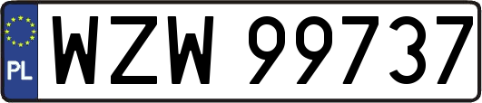 WZW99737