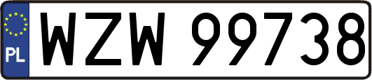 WZW99738