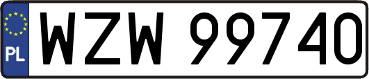 WZW99740