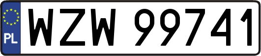 WZW99741