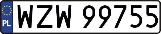 WZW99755