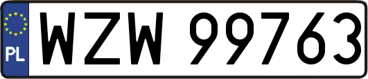 WZW99763