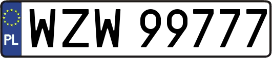 WZW99777