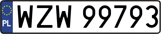 WZW99793