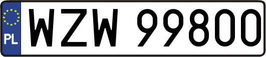 WZW99800