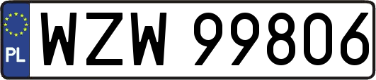 WZW99806