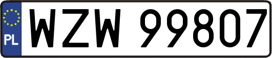WZW99807