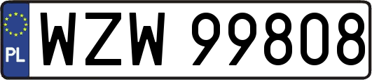 WZW99808