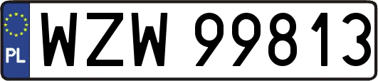 WZW99813