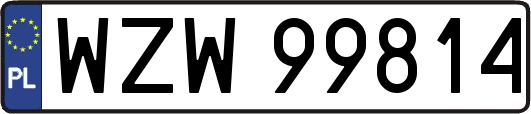 WZW99814